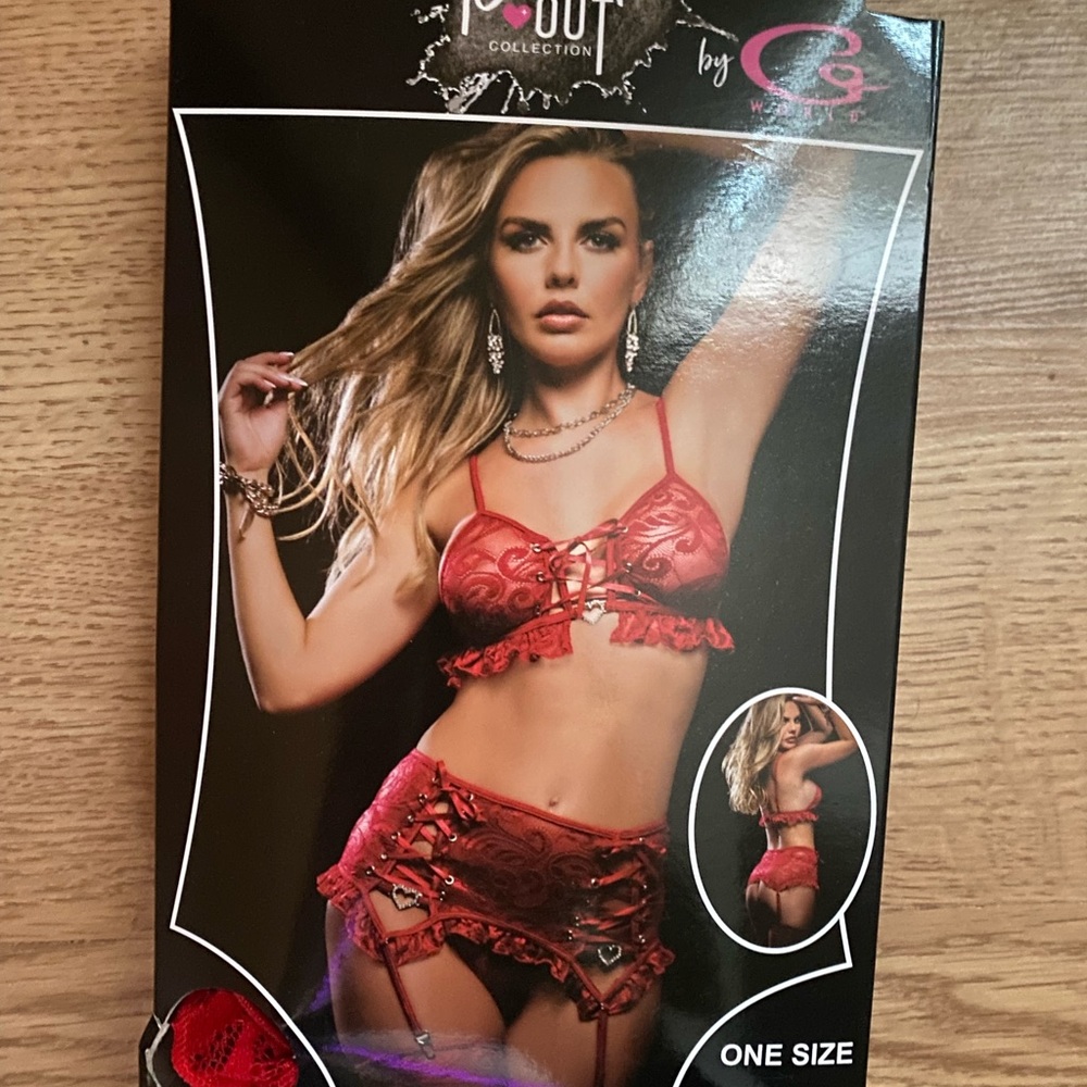 NEW 4pc Lingerie Set